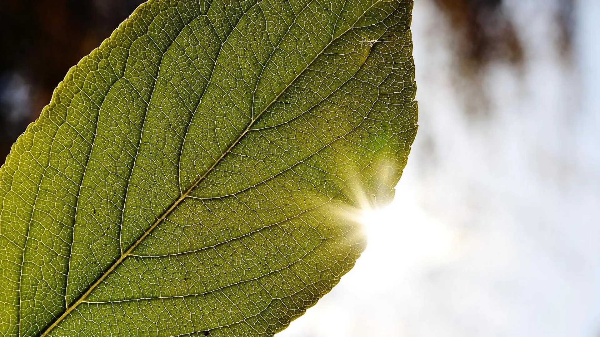 Le Mas Du Soleil contacts